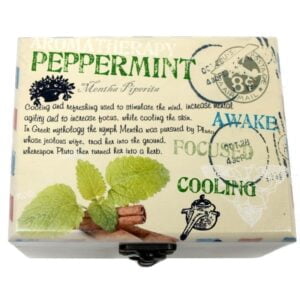 Caixa de aromaterapia para 12 óleos