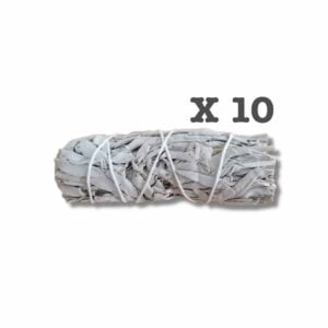 Tocha de Sálvia Branca 10cm (10 Unidades)