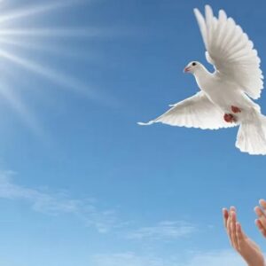 Intenções Espirituais e Rituais